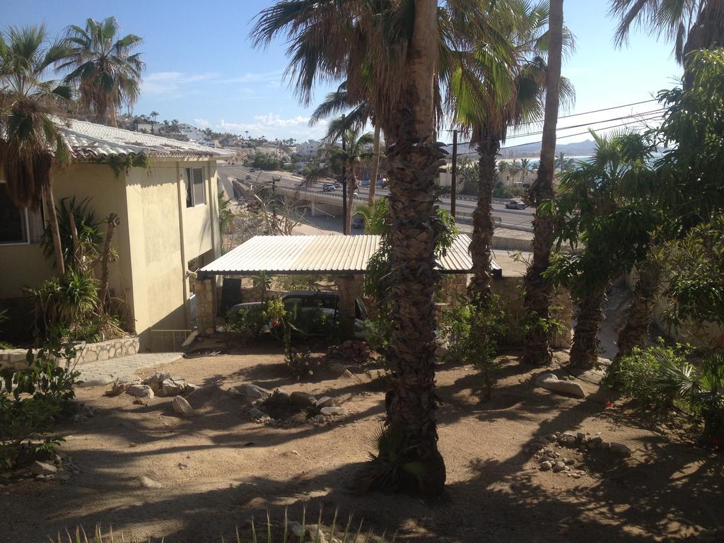 Surfer'S Paradise, Yoga&Food Garden@Costa Azul, Los Cabos San José del Cabo Buitenkant foto